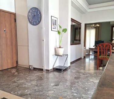 Kinosargous Apartment | Large 1 bedroom Penthouse with Large Terrace