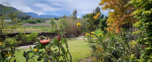 Robertson House | Le Petit Paradis