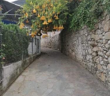 Dafnata Apartment | Magda's Apartment