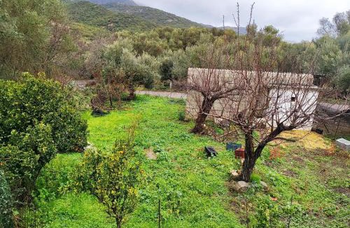 Milia Apartment | Nature House Vlatos