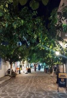 Fournoi Apartment | Nektaria on the Beach
