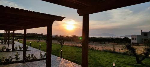 Linopotis House | Olive Tree Garden