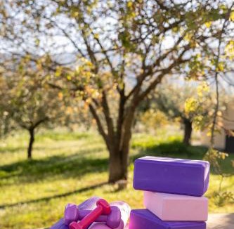 Litochoro Villa | Οlives and Vines all seasons villa