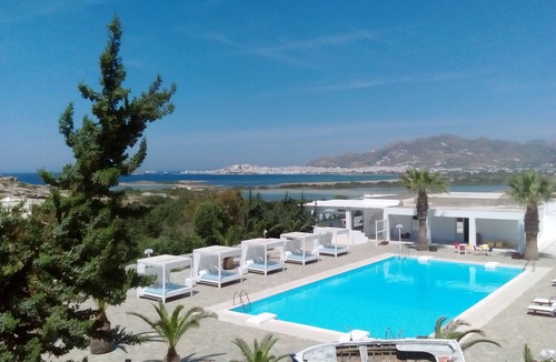 Agios Prokopios Apartment | Open-plan suite with garden view and private plunge pool; breakfast included