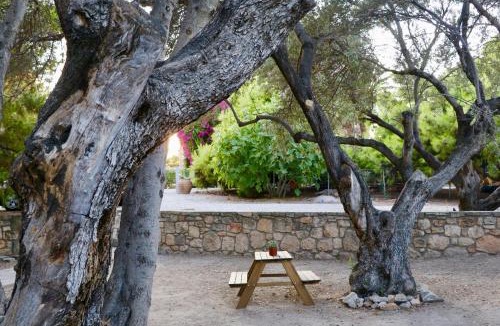 Aegina Town Apartment | PYRGOS RALLI ESTATE Guesthouse