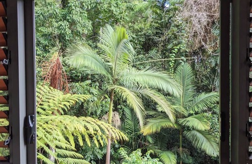 Edge Hill Villa | Rainforest Meets Luxury - Infinity Pool, Views