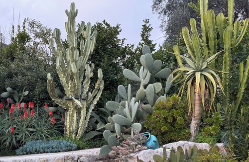 Menton House | Rest and nature in Menton, sea and private pool. Pet-friendly.