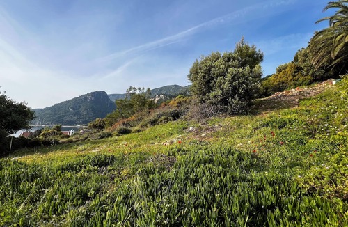 Avlakia Apartment | Seaside studio with a view