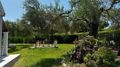 Saoulatika Apartment | Serenity Studios Arillas Corfu