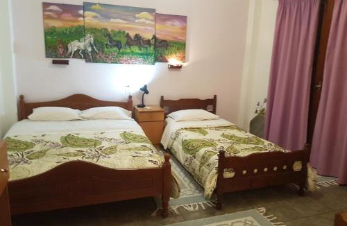 Kalambaka Apartment | Sofia Rooms