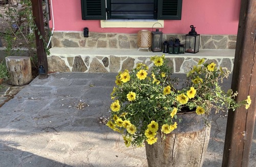 Kalivia Poliyirou House | Summer house surrounded by olive trees Halkidiki