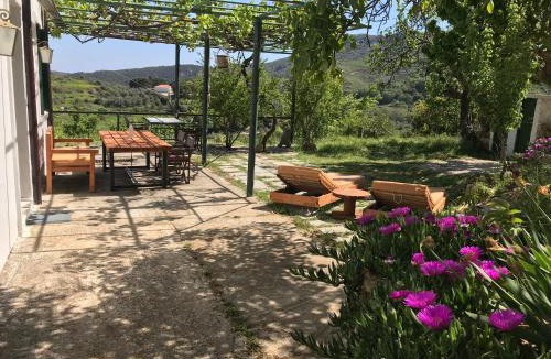 Kantanos-Selino House | Temenia House