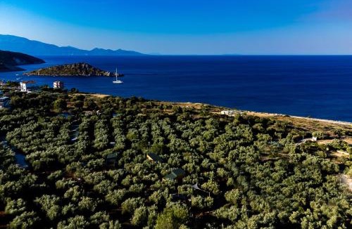 Varvara House | Thalassa Green