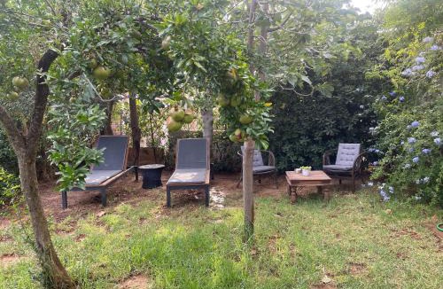 Ormos Agiou Ioannou Apartment | the garden house