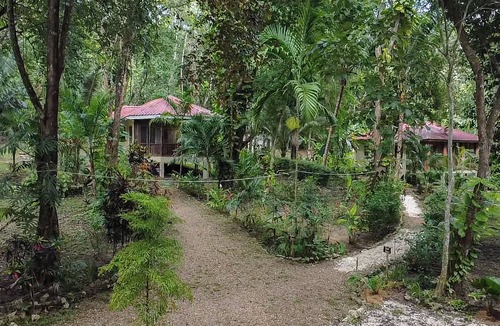 San Ignacio House | Three Jungle Cottages near San Ignacio~6 beds~AC~ Restaurant at the property