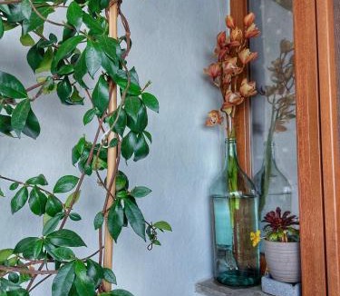 Tsagarada Apartment | To giataki tou pappou