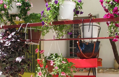 Sinarades Apartment | Traditional house Village near relax-beach Shops Country-walks near Corfu town