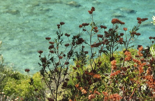 Sinarades Apartment | Traditional house Village near relax-beach Shops Country-walks near Corfu town