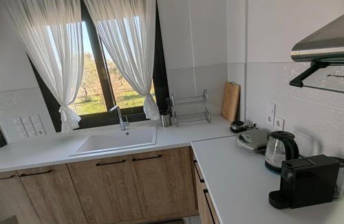 Sipiada Villa | Villa Maximos