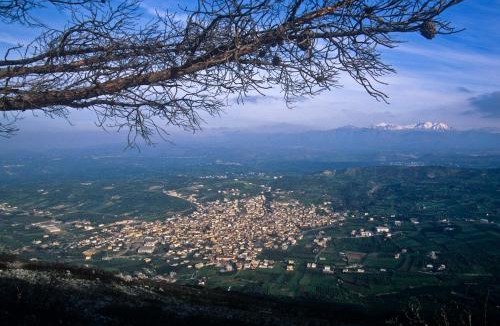 Archanes Apartment | Villa Orestis