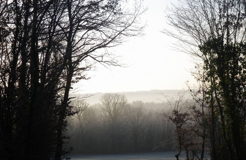 Savignac-les-Eglises Villa | Villa With Private Pool With View On Walnut Grove And Woods
