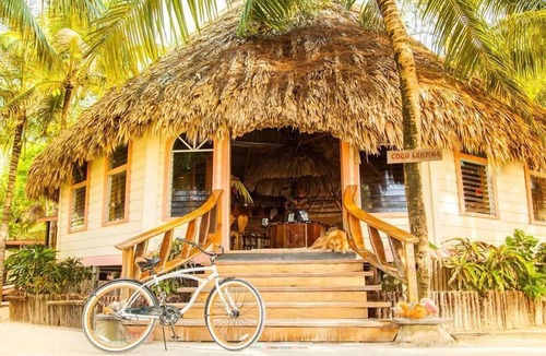 Thatch Caye Resort | Well-Appointed Overwater Bungalow w/Shared Deck & Amazing Ocean Views