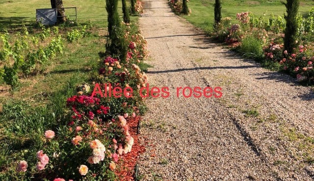 Allée des roses La Chapelle