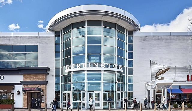 Always a Great Idea To Unwind! Pet-Friendly, Near Harvard Square
