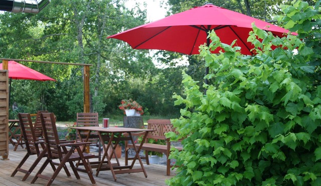 Apartment between the Atlantic Ocean, vineyards and "Mirabelle" pine forests