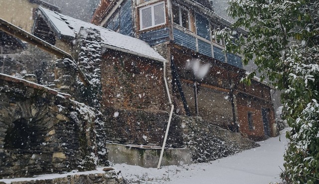 Atypical Chalet