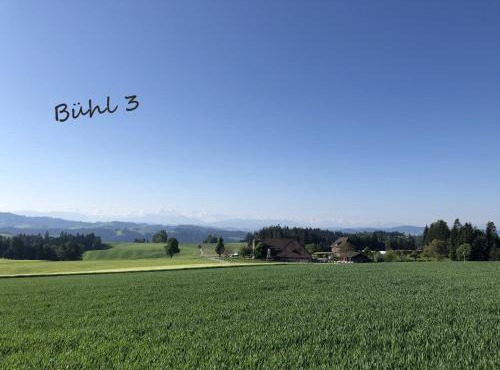 Bühl 3