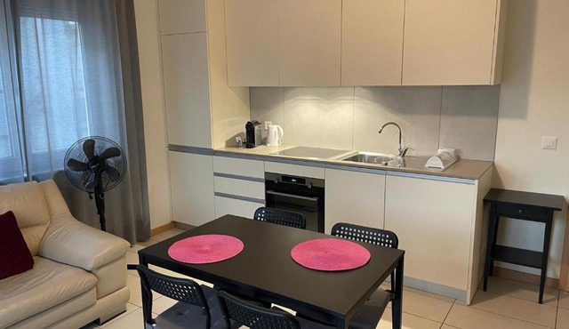 Balerna Swiss Apartment by RentuGoo Travel