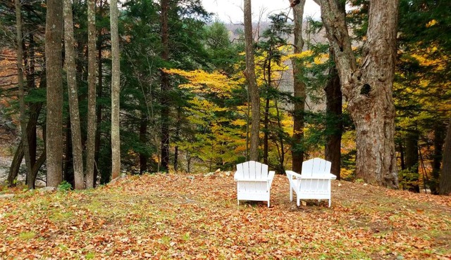 Black Bear Lodge