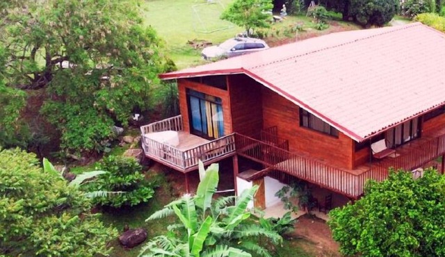 Cabin surrounded by nature at ground level with terrace