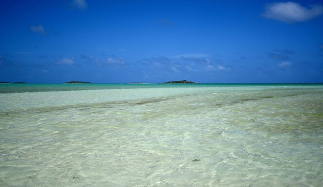 Chesters Bonefish Lodge
