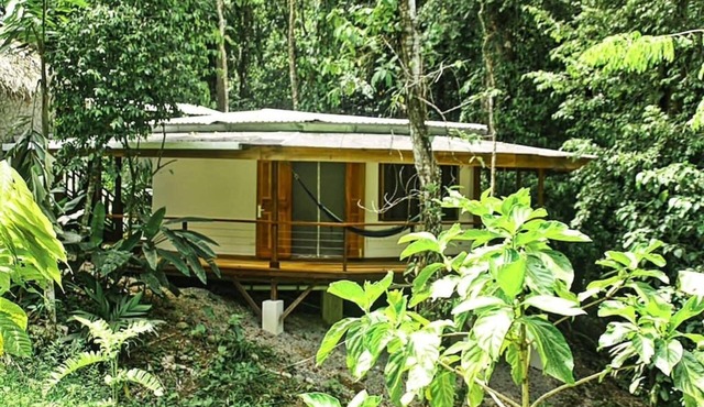 Cocles Magical Rainforest Deluxe Retreat Home