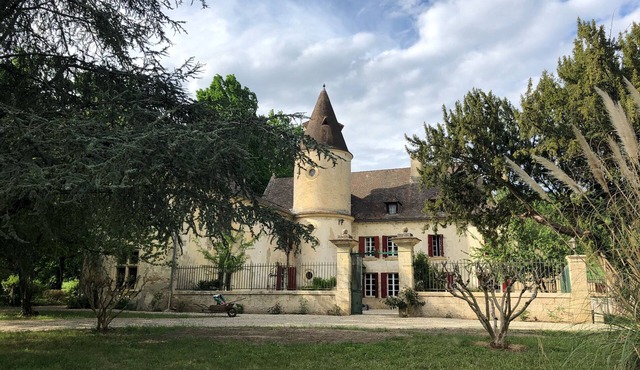 Domain surrounded by a large park with outdoor pool 80km from Bordeaux