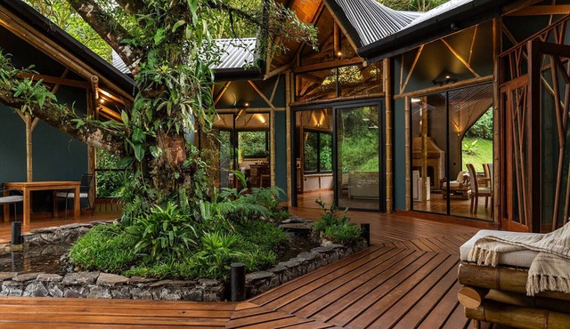 El Tigre Hideaway