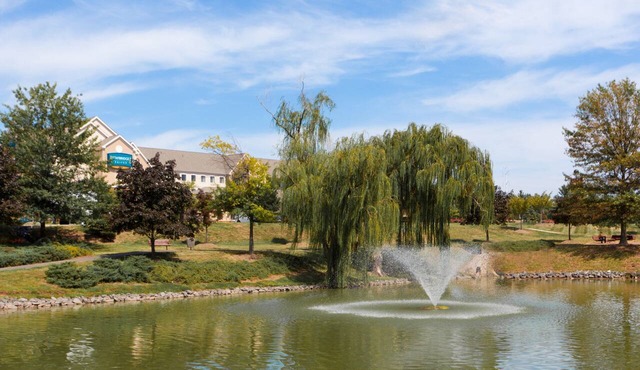 Equipped Suite Near IAD | Free Breakfast + Shuttle to Airport + Corporate Area