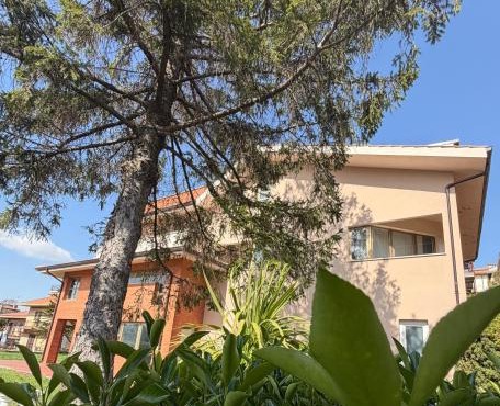 Firmamento Royal House