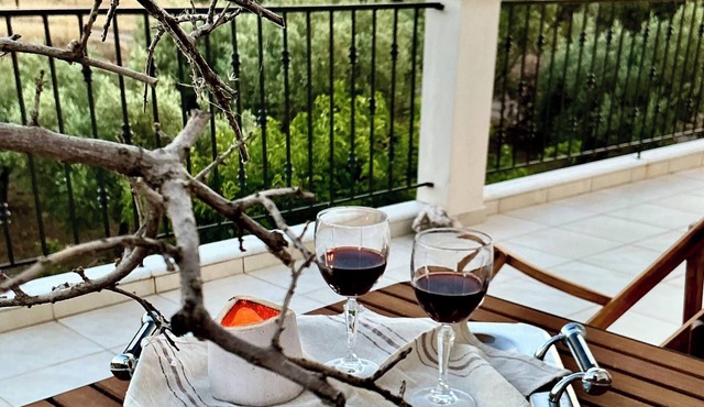 Horizon House in Evia With olive grove and vineyard