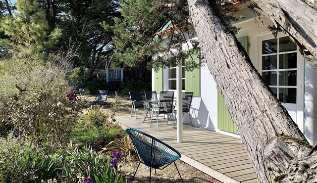 Ile d'Oleron, seaside, direct access to the beach (50 m), WIFI