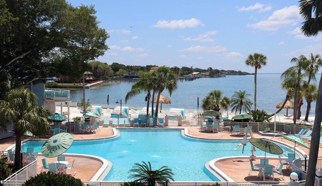 Indulge in Coastal Calm at a Stunning Paradise Near Downtown | Pet Friendly