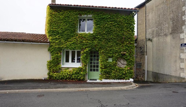 Ivy house