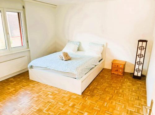 Large Flat with Balcony in Zurich, Kars