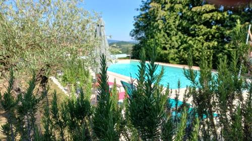 Le gîte du mas avec piscine
