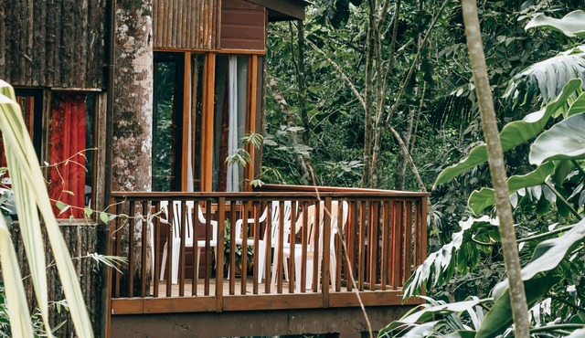 Mariposa Jungle Lodge