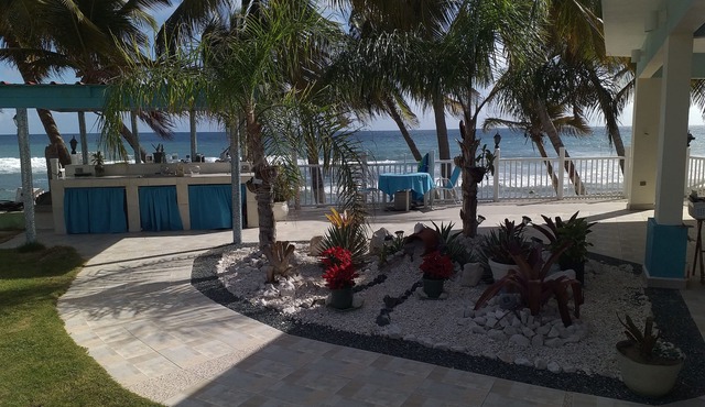 New beach front property