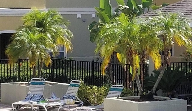NEW LISTING! AVALON - Newly renovated condo on ground floor with pool view.