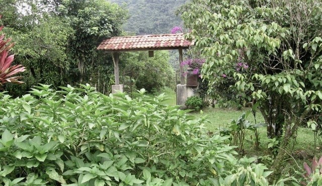 One Bedroom Cabin On Two Hundred Acres in costa rica